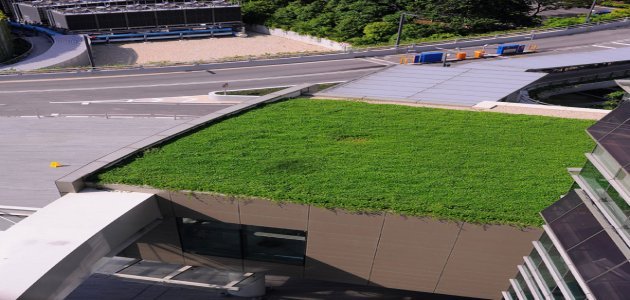 Create Nus: Rasenfläche auf dem Dach