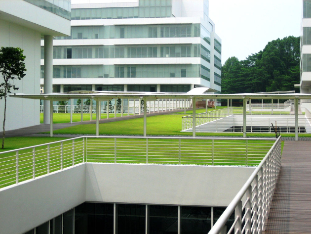 Republic Polytechnic: Gehwege mit Grünflächen auf dem Dach