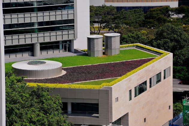 Create Nus: intensive Dachbegrünung mit Rasen und Blumen